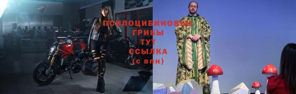 mdpv Железногорск-Илимский
