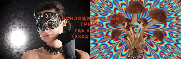 ПСИЛОЦИБИНОВЫЕ ГРИБЫ Дубовка