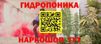 хмурый Гусев