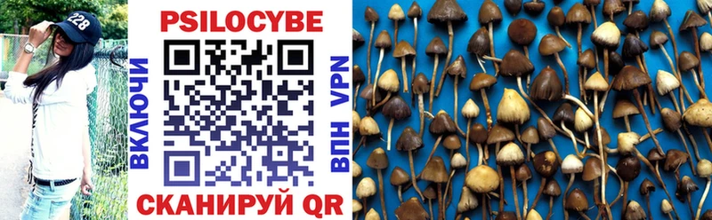 Псилоцибиновые грибы Psilocybine cubensis  где купить наркоту  гидра зеркало  Нягань 