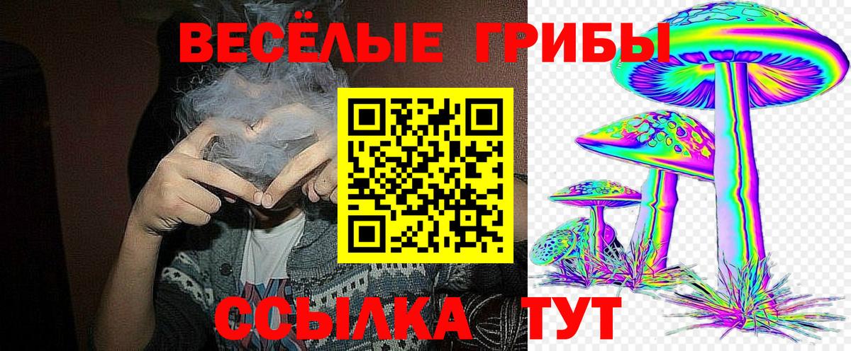 Нягань  Псилоцибиновые грибы ЛСД  купить закладку  Вход с VPN 
