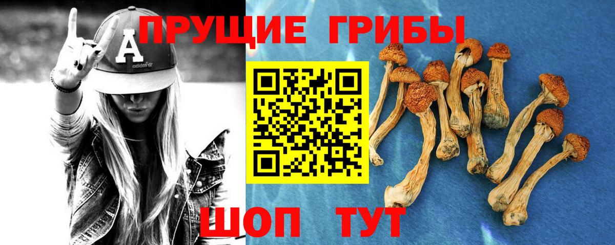 Псилоцибиновые грибы мицелий Нягань